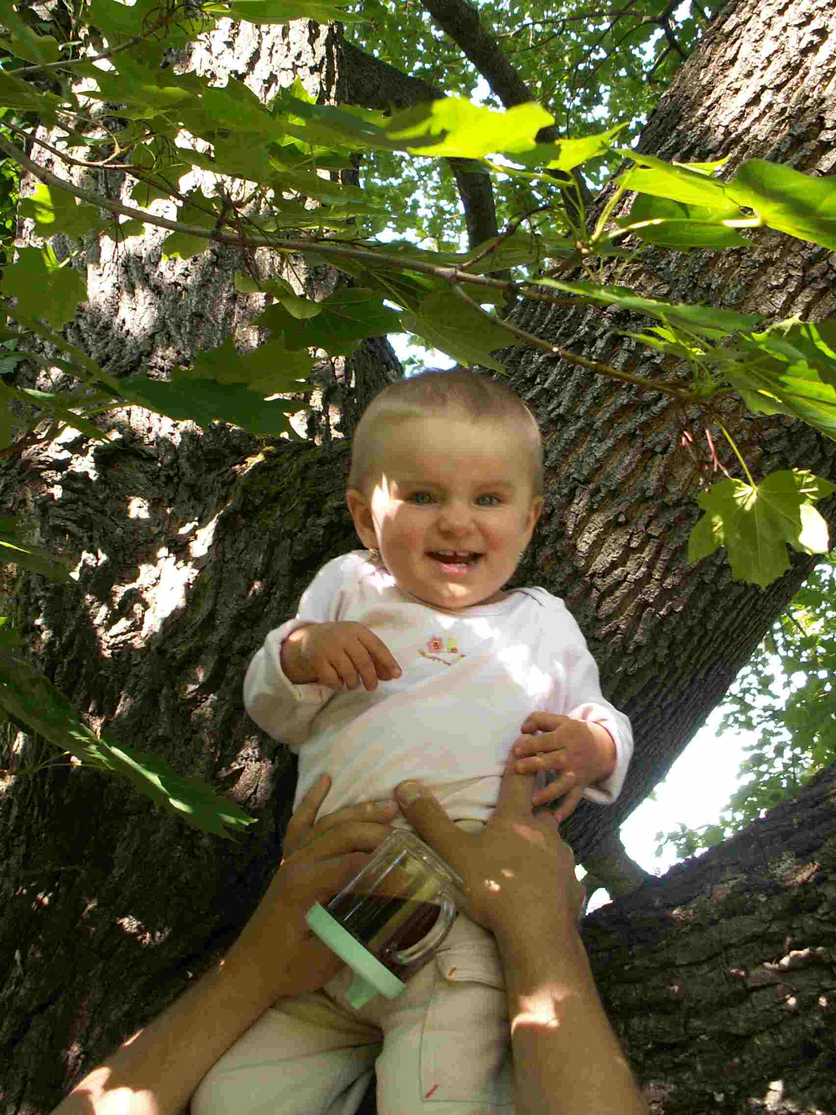 PICT0037.jpg